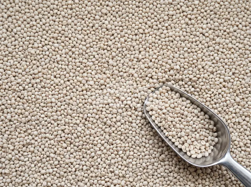 Barnyard Millet