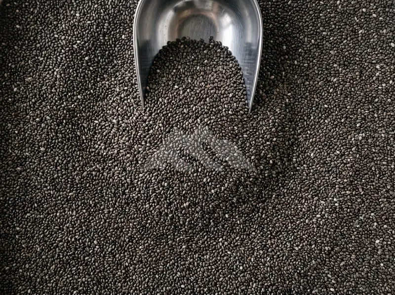 Chia Seeds