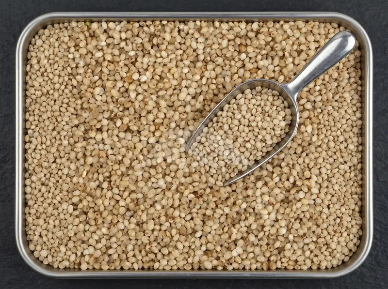 Little Millet